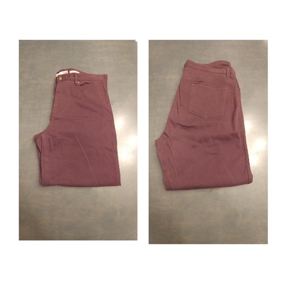 Jones New York Denim - Jones New York Jeans Plus Size 16